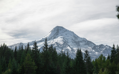 Montana is calling