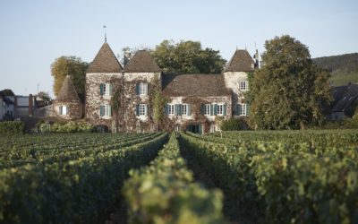 UNE NOUVELLE RÉFÉRENCE AU CŒUR DES VIGNES